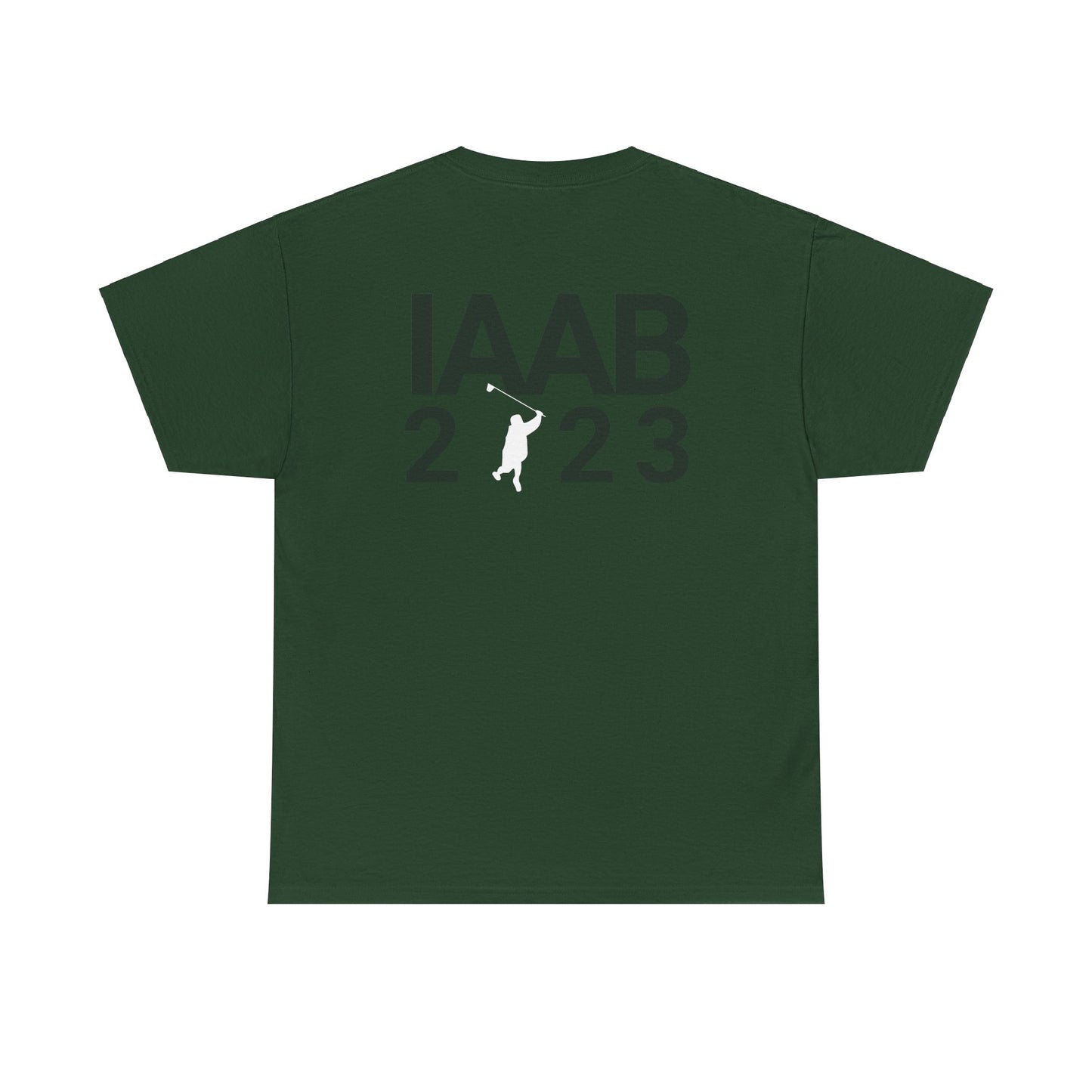 Drake IAAB 2023 Tour Merch | I Like What Drake Likes T-Shirt