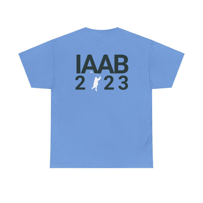 Drake IAAB 2023 Tour Merch | I Like What Drake Likes T-Shirt